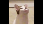 고먐미단