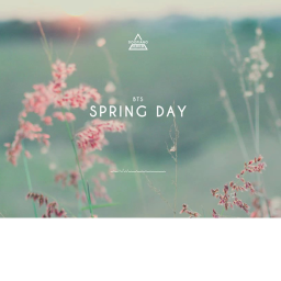Spring Day
