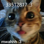 Nya's Wrld