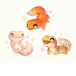 Mab The Leopard Gecko Fan Club