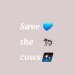 Save The Cows!!!!