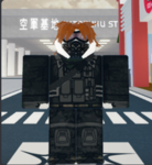 The Hashira...