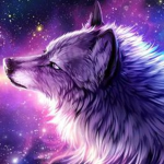 Wolf squad and the galaxy