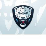 Seattle Snow Leopards