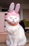 Easter clothes group