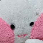 AK충 그룹