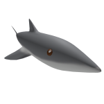 Sharky The Cute