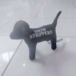 Syrg