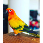 Kevins´s Group
