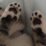 77575