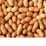 Clã amendoim