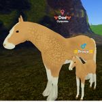 Willow Tree Horse Rescue