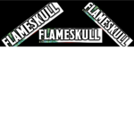 Flame skull