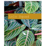 (:Lolo Squad :)