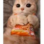 かれぼ、かのぼの人たちで誕生させようの会