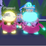 The Forever Pet Squad!