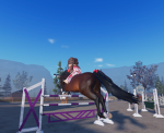 Horseteamsssss