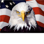 EagleBadBoys