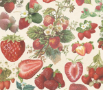Strawberry’S Gang