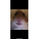 MartinSoccer51