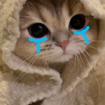 [KR : RP] 봇트시