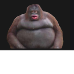 Les Monkeys