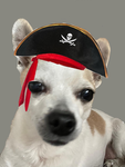 Piratenlissy Crew