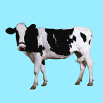 Cow Gangsters
