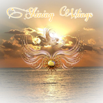 ~Shining Wings~
