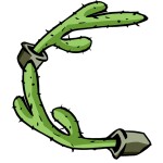 Favourite this 4th! (CACTUS)