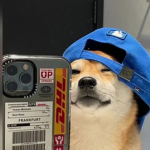 Die Chipsis