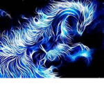 Yoru_Nightfox's group