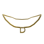 Initial Necklace: D