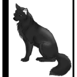 |~/Shadow Eye\~|