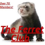 Ferret NATION official group