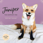 foxmaster