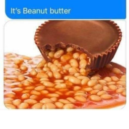 Beans Hangout