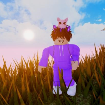  A Beautiful Sunset