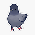 Pigeon sqaud :)