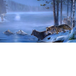 Wolf united dodging