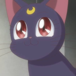 Gamers Cat