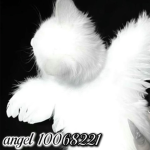 ۶ৎ angel