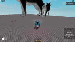 Watch the dogs run!