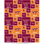 Virginia Tech fan Group