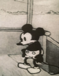 Mickey Mouse C rack house