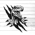 The Raptors group