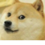 Join for cookies and maybe robux!