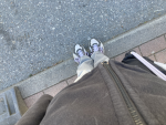 ITZZ_Anni-Community