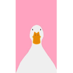 Theflyingducklings