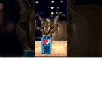 Pepser Floppa Clan